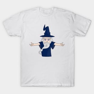 Sorcerer with the beard and white hair T-Shirt